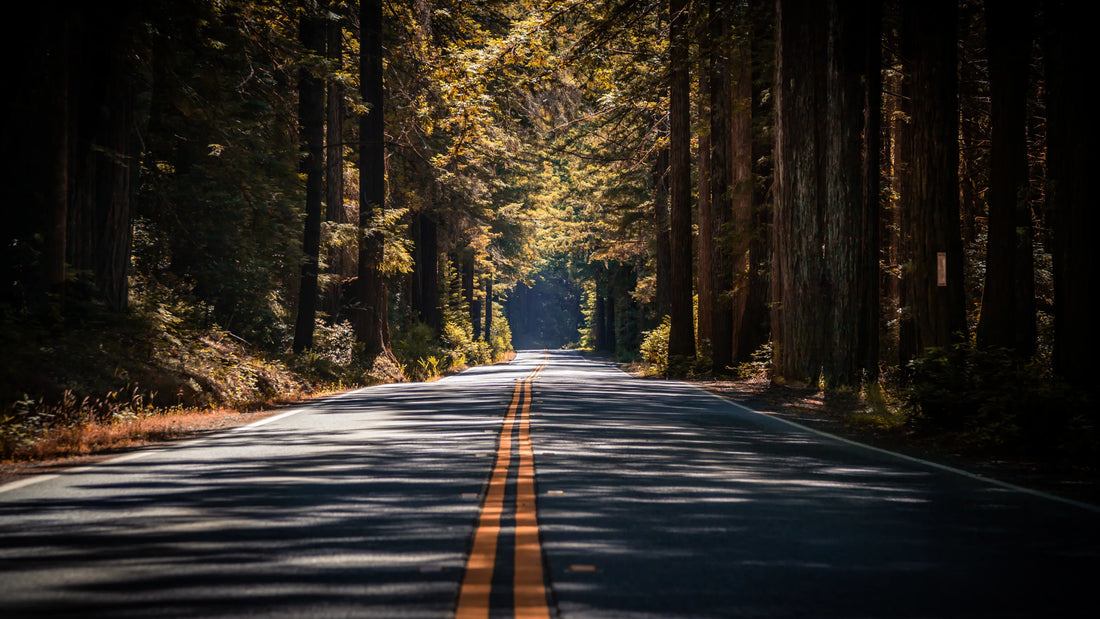 Wooden area with a two lane road. 