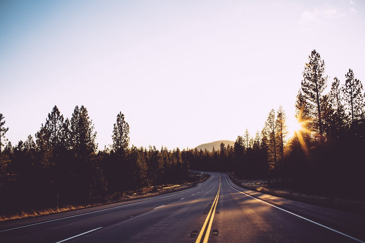 A peaceful road through tall pine trees at sunset, symbolizing a journey forward.
